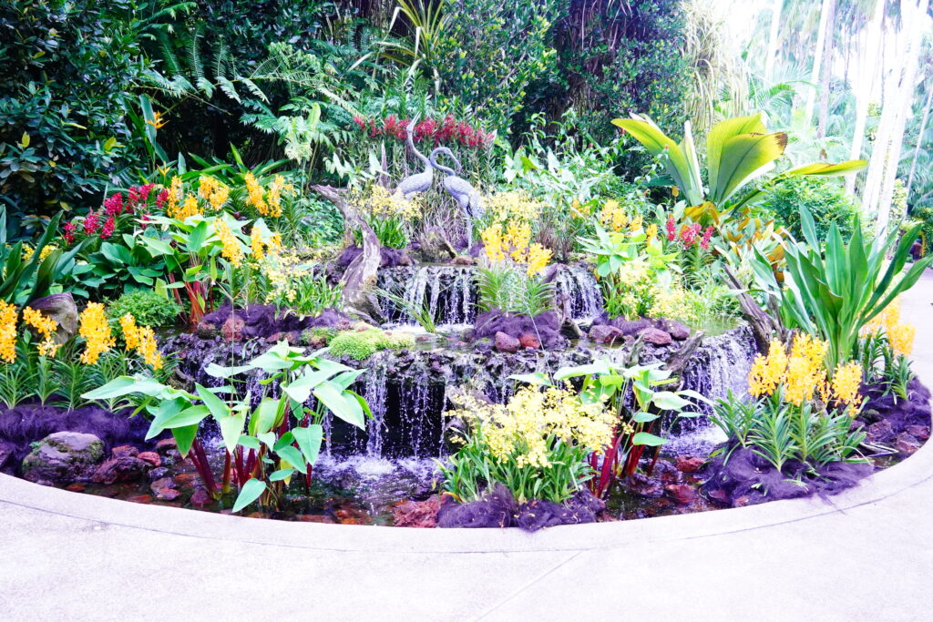 シンガポール植物園 ナショナル・オーキッド・ガーデン