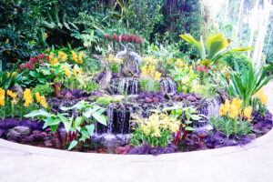 シンガポール植物園 ナショナル・オーキッド・ガーデン